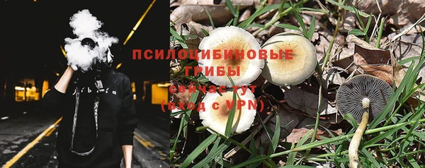 соль курить ск Арсеньев