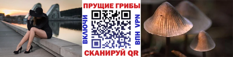Галлюциногенные грибы Magic Shrooms  Старая Русса 